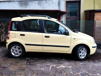Usata Fiat Panda 60 CV (44 kW) 2005 Giallo Utilitaria