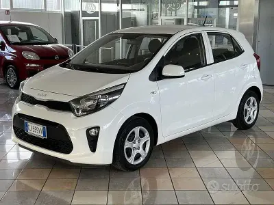 Usata Kia Picanto Urban 67 CV (49 kW) 2022 Bianco Utilitaria