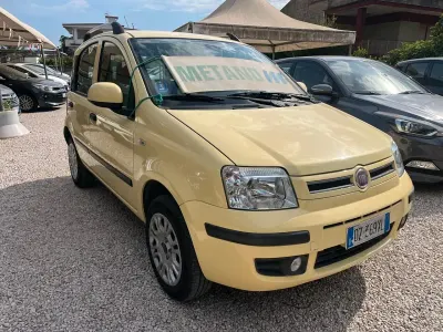 Usata Fiat Panda Dynamic 59 CV (43 kW) 2009 Giallo Utilitaria