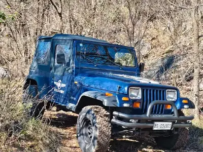 Usata Jeep Wrangler 103 CV (75 kW) 1991 SUV