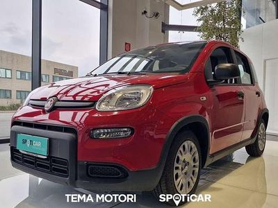 Usata Fiat Panda S 69 CV (50 kW) 2024 Rosso Utilitaria
