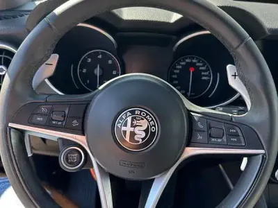 Usata Alfa Romeo Stelvio Business 190 CV (139 kW) 2020 Argento SUV