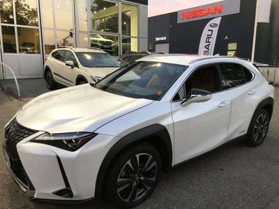 usata Lexus UX Hybrid 4WD Luxury