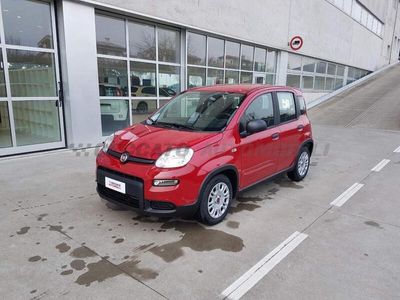 usata Fiat Panda Panda My24 1.0 70cv Hybrid