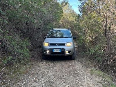 Usata Fiat Panda 4x4 69 CV (50 kW) 2006 Grigio Utilitaria