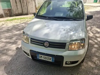 Usata Fiat Panda 4x4 69 CV (50 kW) 2008 Bianco Utilitaria