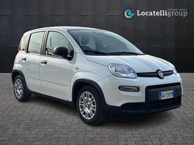 Usata Fiat Panda S 69 CV (50 kW) 2024 Bianca Utilitaria
