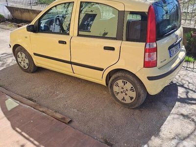 Usata Fiat Panda Dynamic 60 CV (44 kW) 2009 Giallo Utilitaria