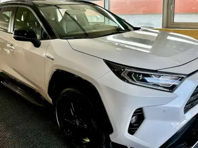 Usata Toyota RAV4 Hybrid 222 CV (163 kW) 2019 Bianco SUV