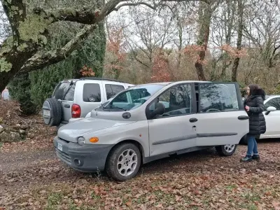 Usata Fiat Multipla