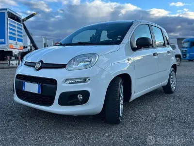 Usata Fiat Panda 80 CV (58 kW) 2017 Utilitaria