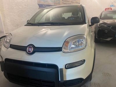 usata Fiat Panda PANDA MY24 1.0 70cv Hybrid