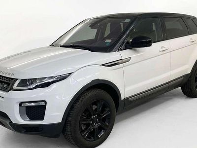 Usata Land Rover Range Rover evoque SE 150 CV (110 kW) 2015 Bianco SUV