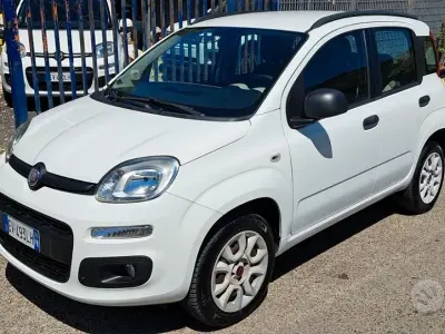 Usata Fiat Panda Easy 80 CV (58 kW) 2014 Bianco Utilitaria