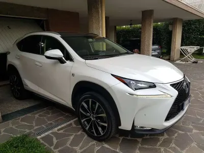 Usata Lexus NX300h Sport Line 197 CV (144 kW) 2016 SUV