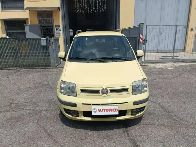 Usata Fiat Panda Dynamic 69 CV (50 kW) 2011 Giallo Utilitaria