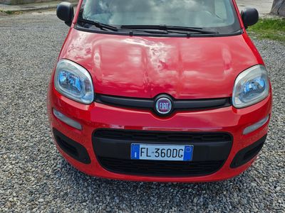 usata Fiat Panda Panda 1.2 Easy