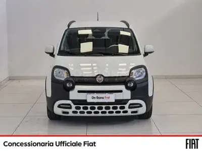 Usata Fiat Panda Cross Cross 70 CV (51 kW) 2025 Bianco Utilitaria