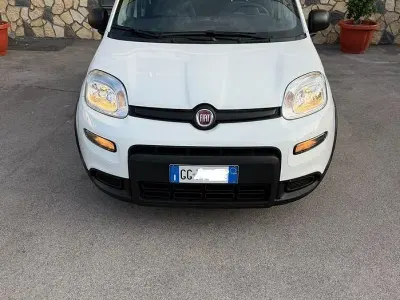Usata Fiat Panda