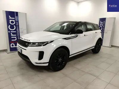 Usata Land Rover Range Rover evoque 150 CV (110 kW) 2020 Bianco SUV