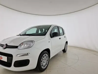 Nuova Fiat Panda Icon 65 CV (47 kW) 2026 Bianco Utilitaria