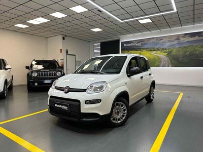 usata Fiat Panda 1.0 FireFly S&S Hybrid Launch Edition nuovo