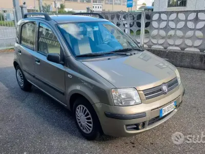 Usata Fiat Panda Dynamic 60 CV (44 kW) 2009 Marrone Utilitaria