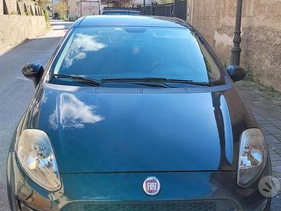 Usata Fiat Punto Lounge 69 CV (50 kW) 2013 Utilitaria