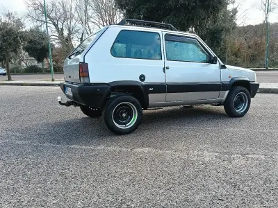 Usata Fiat Panda 4x4 54 CV (39 kW) 2001 Grigio Utilitaria