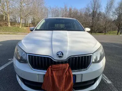 Usata Skoda Fabia