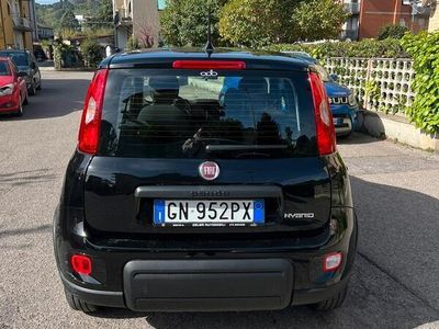 usata Fiat Panda 1.0 hybrid