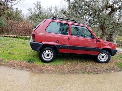 Usata Fiat Panda 4x4 Trekking 54 CV (39 kW) 1999 Utilitaria