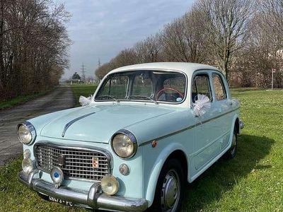 Usata Fiat 1100 52 CV (38 kW) 1962 Blu/azzurro Berlina