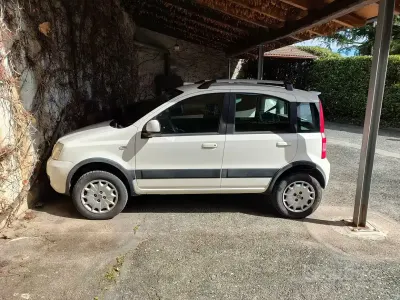 Usata Fiat Panda 4x4 Climbing 69 CV (50 kW) 2011 Bianco Utilitaria