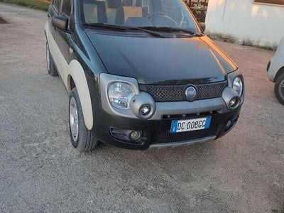 Usata Fiat Panda Cross 2006 Verde Utilitaria