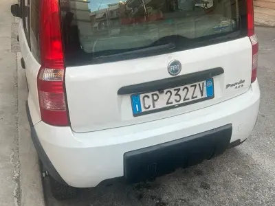 Usata Fiat Panda 4x4 60 CV (44 kW) 2006 Bianco Utilitaria