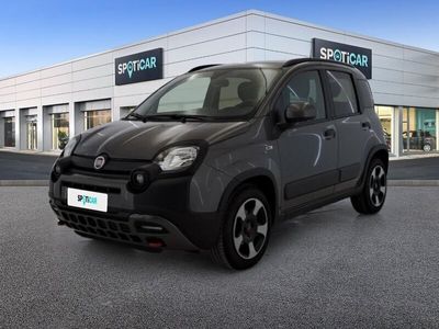 usata Fiat Panda Cross Panda 1.0 FireFly 70cv S&S Hybrid