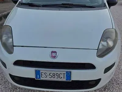 Usata Fiat Punto Pop 69 CV (50 kW) 2014 Bianco Utilitaria