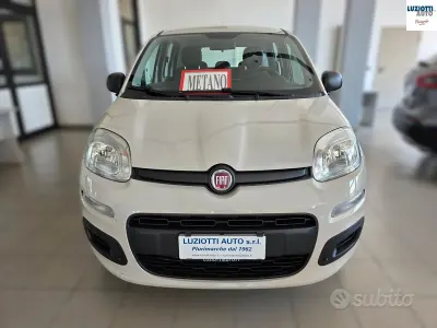 Usata Fiat Panda Easy 86 CV (63 kW) 2017 Beige Utilitaria