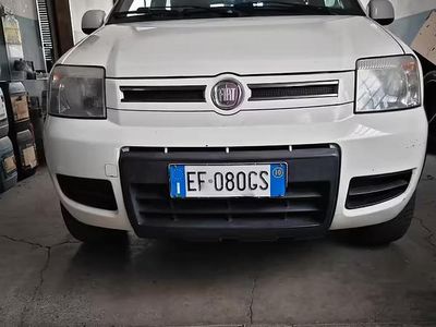 Usata Fiat Panda 4x4 69 CV (50 kW) 2010 Bianco Utilitaria