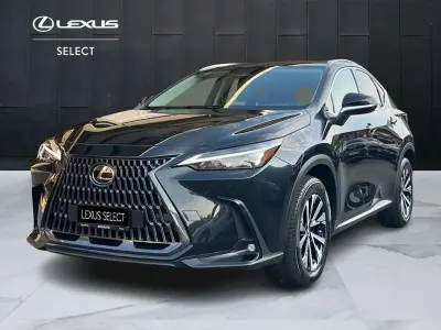 Usata Lexus NX300h 243 CV (178 kW) 2022 Nero SUV