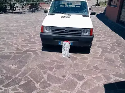 Usata Fiat Panda