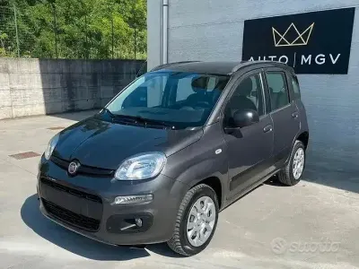 Usata Fiat Panda Easy 80 CV (58 kW) 2013 Grigio Utilitaria