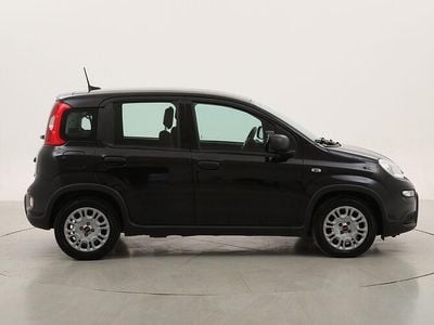 Usata Fiat Panda 70 CV (51 kW) 2023 Utilitaria