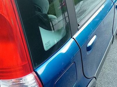 Usata Fiat Panda 4x4 60 CV (44 kW) 2005 Blu Utilitaria