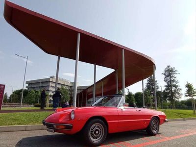 usata Alfa Romeo GT Junior Spider 1600