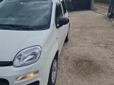 Usata Fiat Panda 70 CV (51 kW) 2021 Bianco Utilitaria