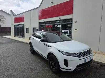 Usata Land Rover Range Rover evoque S 179 CV (131 kW) 2019 Bianco SUV