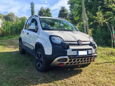 Usata Fiat Panda Cross Cross 86 CV (63 kW) 2021 Bianco Utilitaria