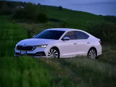 Usata Skoda Octavia Style 116 CV (85 kW) 2021 Bianco Berlina